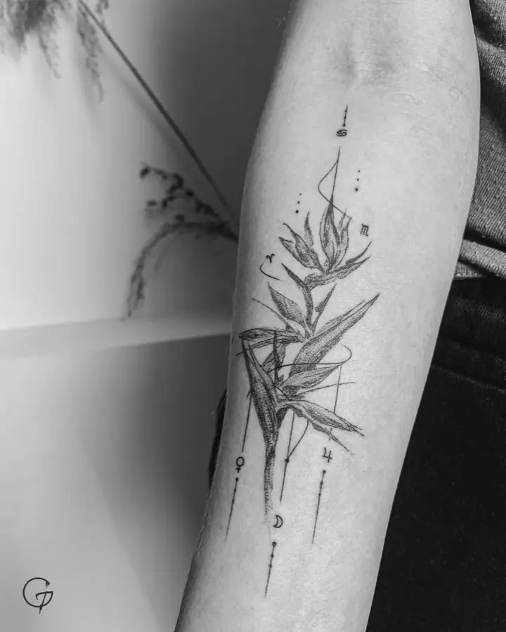 Paradisfuglblomst med små symboler på underarmen, fineline av Tachi